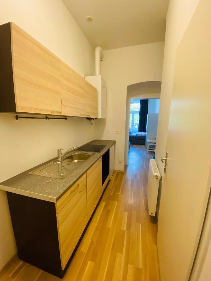 Appartamento Niceapartmenthollergasse 1a *